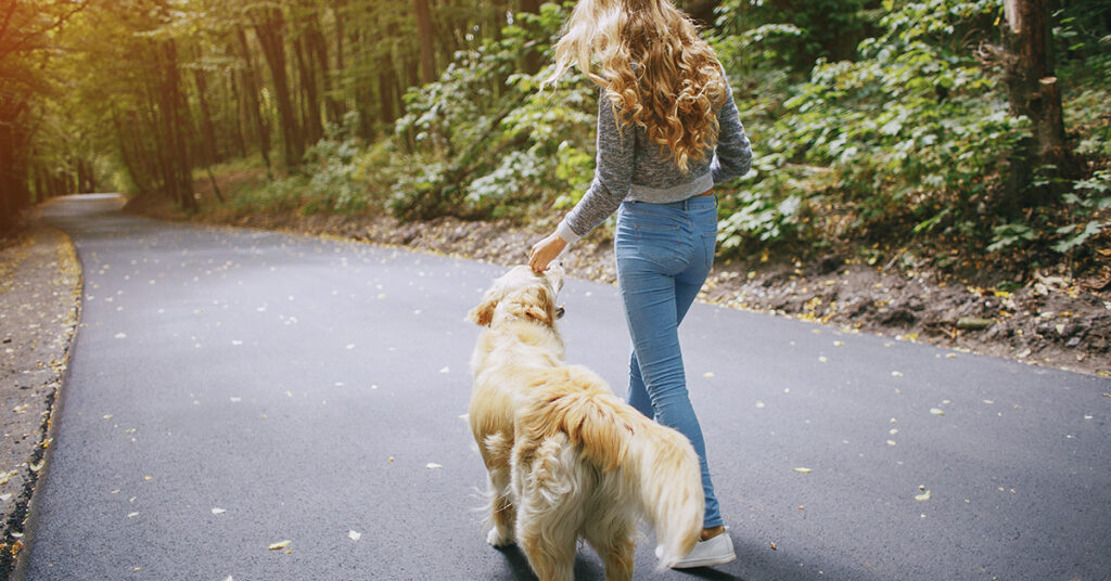 assurance responsabilité chien